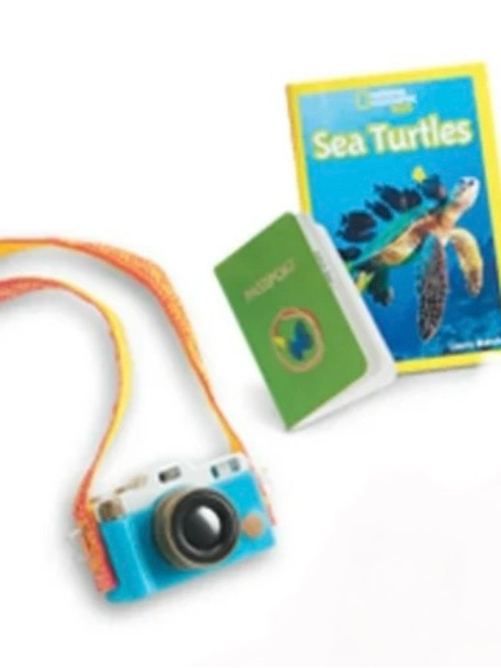 American Girl Lea Meet Accessories Set Camera Sea Turtle Book Passport Only
